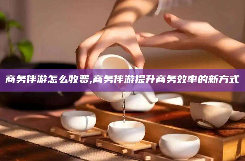 广西商务伴游怎么收费,商务伴游提升商务效率的新方式